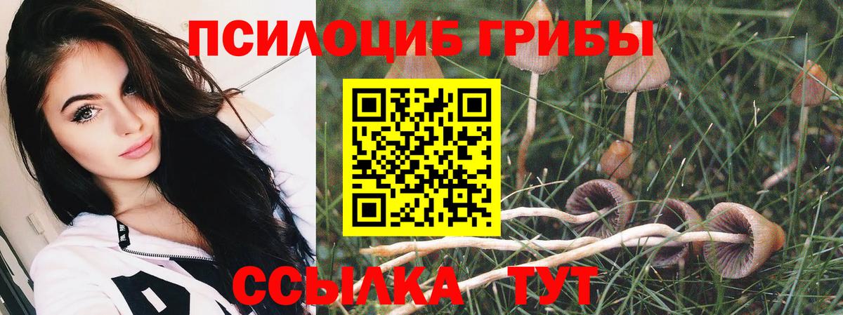 Асино  Псилоцибиновые грибы Magic Shrooms  Вход с VPN 